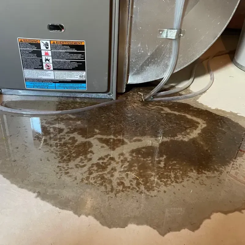 Appliance Leak Cleanup in Wiley Ford, WV